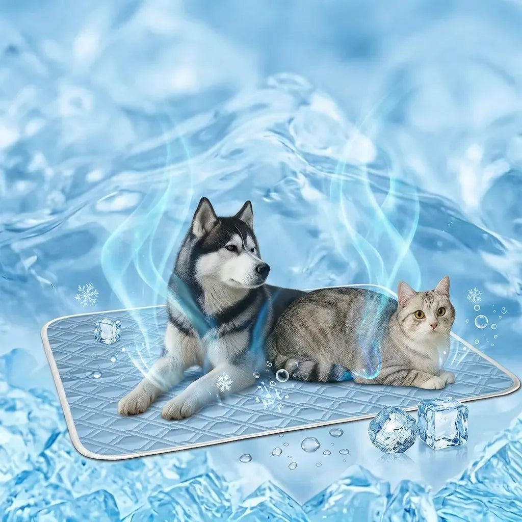 Tapis Rafraîchissant CoolPaws | Tapis rafraîchissant pour chien et chat respirant lavable
