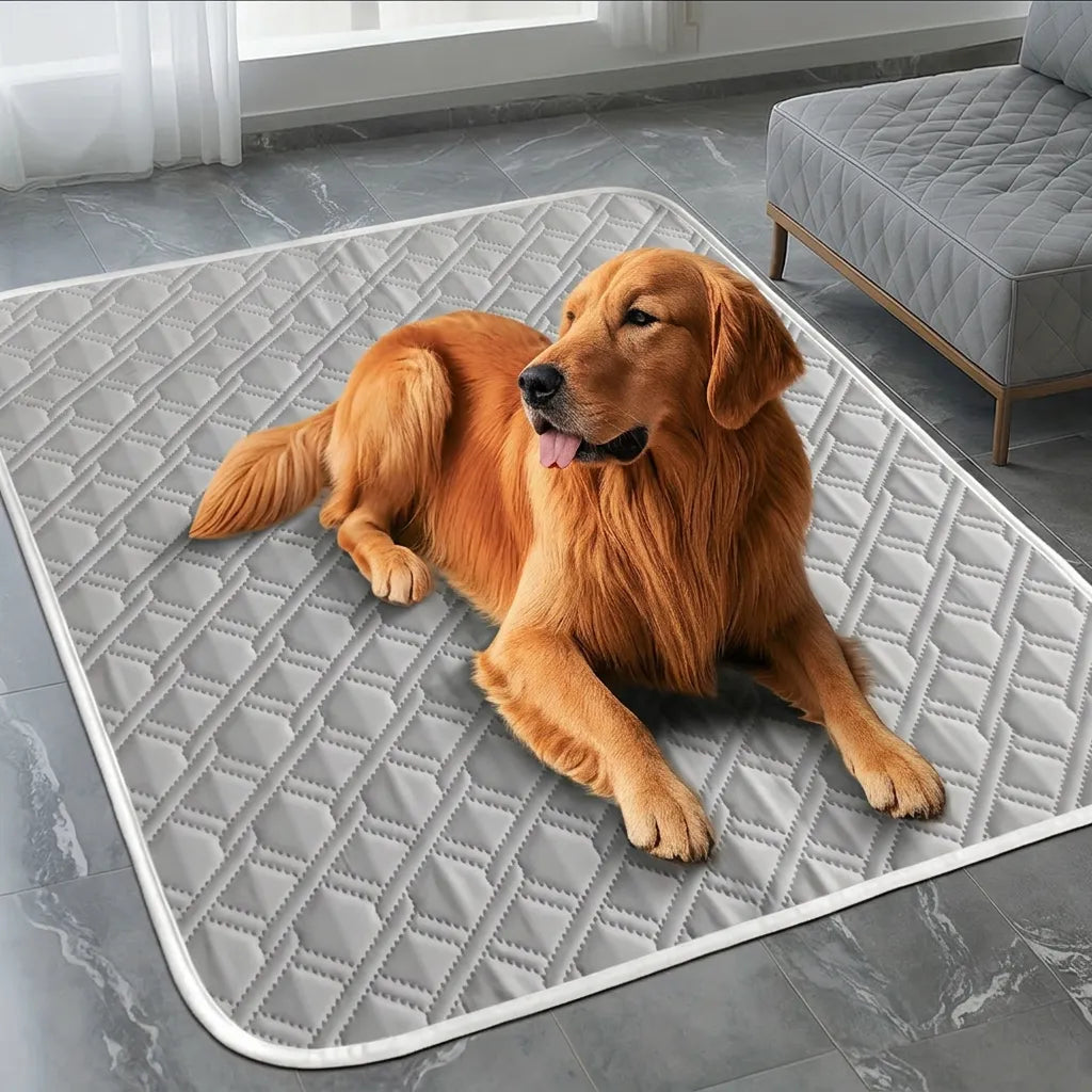 Tapis Rafraîchissant CoolPaws | Tapis rafraîchissant pour chien et chat respirant lavable