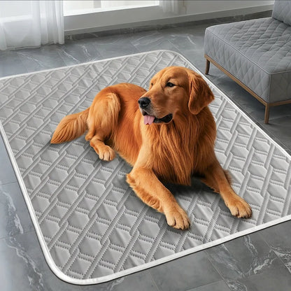 Tapis Rafraîchissant CoolPaws | Tapis rafraîchissant pour chien et chat respirant lavable