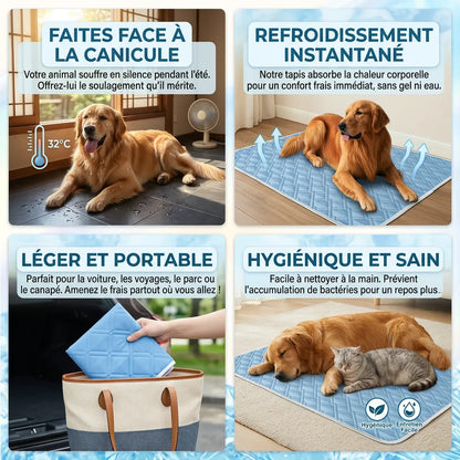 Tapis Rafraîchissant CoolPaws | Tapis rafraîchissant pour chien et chat respirant lavable