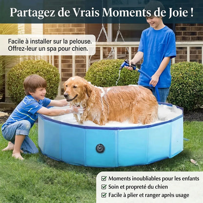 Piscine pour Chien AquaPaws | Piscine pliable grande capacité antidérapante