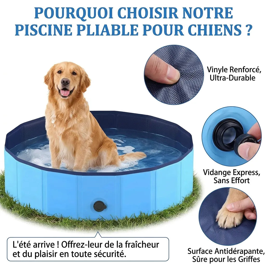 Piscine pour Chien AquaPaws | Piscine pliable grande capacité antidérapante