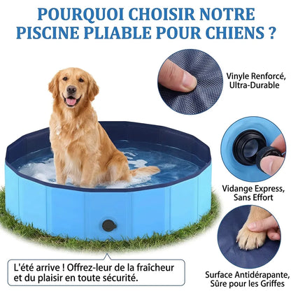 Piscine pour Chien AquaPaws | Piscine pliable grande capacité antidérapante