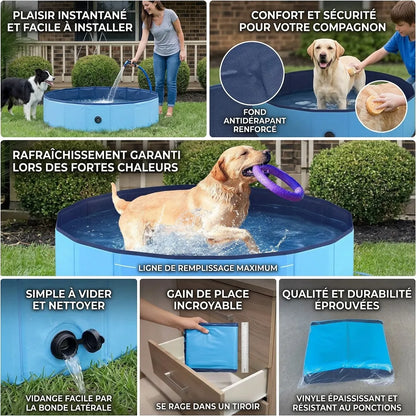 Piscine pour Chien AquaPaws | Piscine pliable grande capacité antidérapante