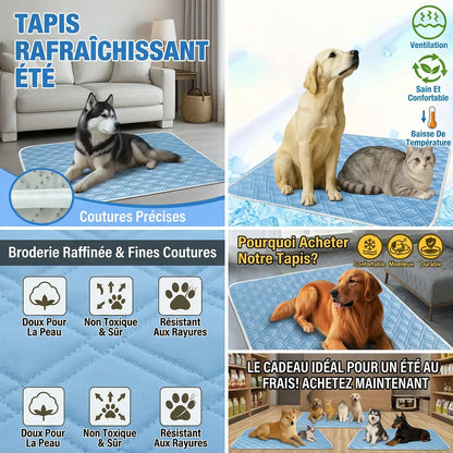 Tapis Rafraîchissant CoolPaws | Tapis rafraîchissant pour chien et chat respirant lavable